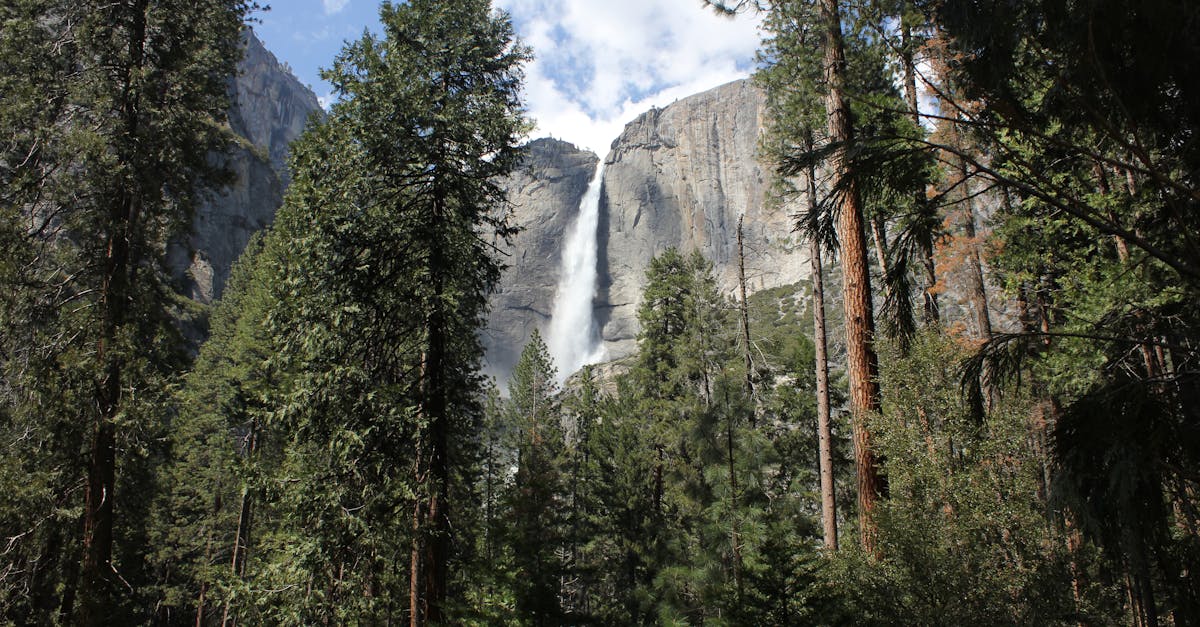 which-california-national-parks-have-the-largest-waterfalls