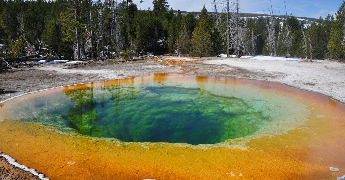 is-my-disabled-veteran-pass-for-national-parks-good-at-yellowstone